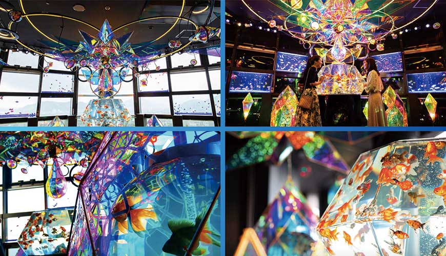 空水族館 空金