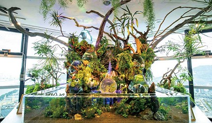 空水族館 空金