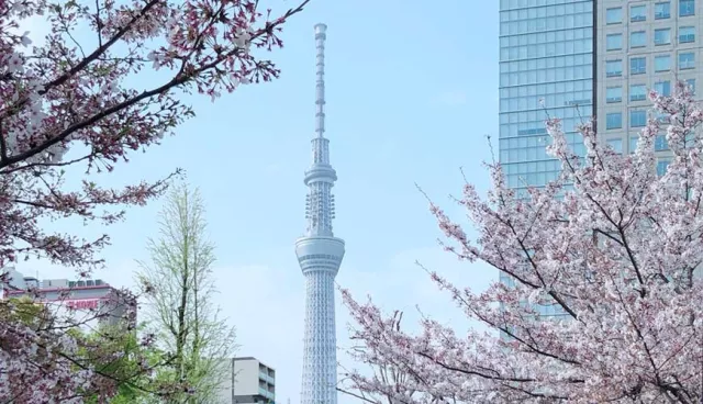 東京晴空塔拍攝點攻略：淺草到押上5大拍照打卡點不藏私分享