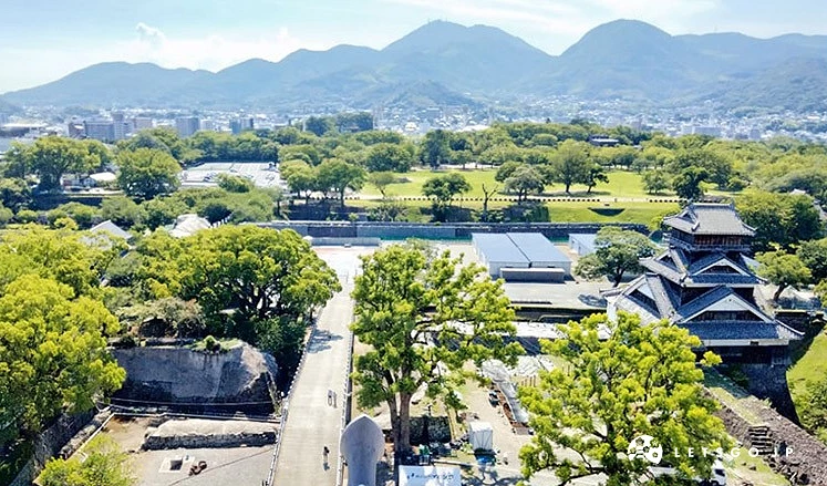 展望台望出去的景色綠地