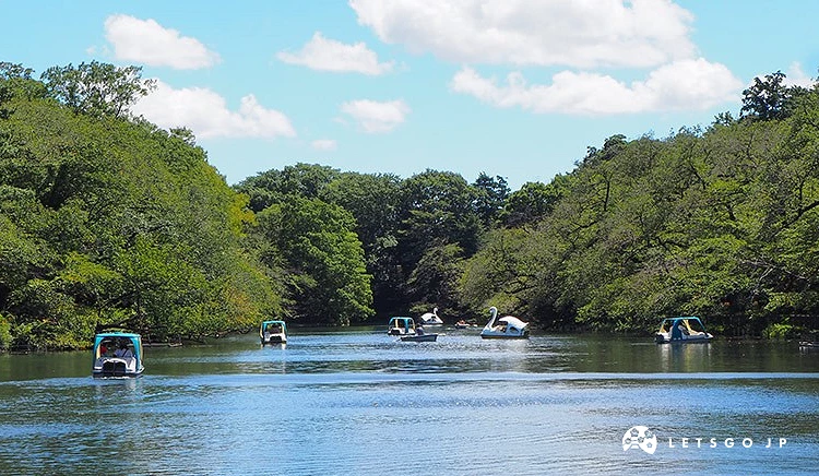 井之頭公園內的湖泊,許多遊客正在踩天鵝船