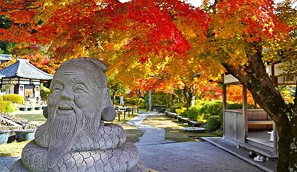 三室戶寺庭園內,石像前步道兩旁覆蓋鮮紅與金黃交織的秋楓,背景可見寺院建築,營造靜謐秋日氛圍。