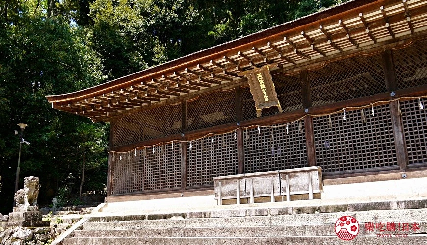 石階前方是一座木造日式神社本殿,外牆由整齊木格柵構成,屋簷下掛著注連繩,背景為濃密林木。