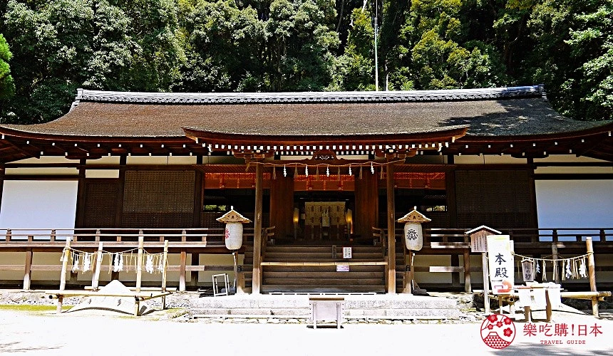 石階前的木造日式神社本殿,深色屋簷與白色牆面交錯,殿前掛著紙燈籠與注連繩,背後被濃密林木環繞。
