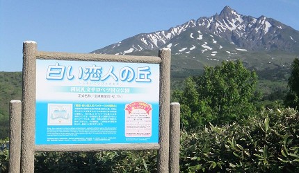藍底告示牌寫有「白い恋人の丘」,背景是積雪山峰