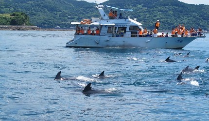 日本九州自駕遊行程總整理!熊本、長崎必去觀光景點:熊本熊公園、倉岳神社、水果公車站、千綿駅