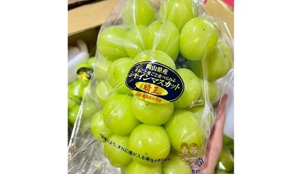 2024新年過節送禮長輩喜歡禮盒過年禮盒推薦新年禮盒推介拜年禮盒排行榜春節送禮送長輩回禮介紹文章伴手禮日本高級水果禮盒岡山頂級晴王麝香葡萄禮盒禮盒排行榜