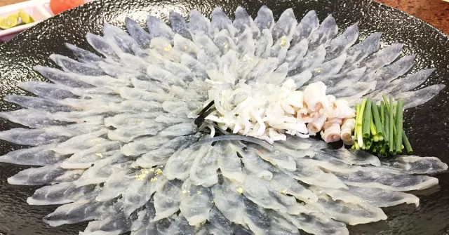 冒著風險也要吃？來日本一定要試試看的超美味「河豚料理」！