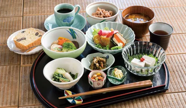 來佐賀可以享用純素料理和現採蔬食！「SAGA Gastronomy」帶你用美食感受佐賀人文風土