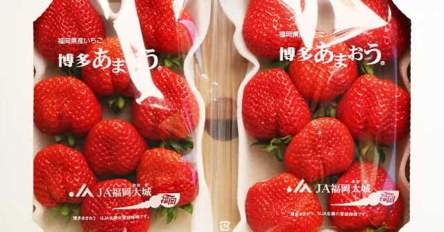 福岡必吃「甘王草莓」為什麼這麼受歡迎？告訴你甘王的秘密，2月就可以在MiCHi SHOP買到！