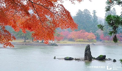 毛越寺的池塘與楓葉