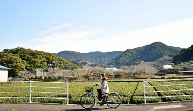 佐賀嬉野溫泉行程推薦：騎自行車穿梭美肌溫泉小鎮，喝嬉野茶、享溫泉湯豆腐美食！