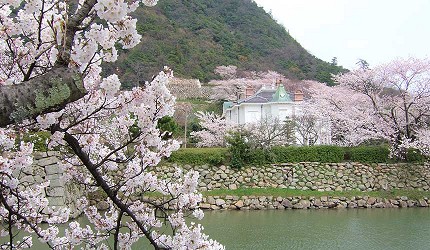 山陽山陰鳥取自由行賞櫻人氣景點鳥取城跡久松公園染井吉野櫻里櫻與仁風閣
