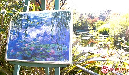 北川村莫內庭園馬摩丹