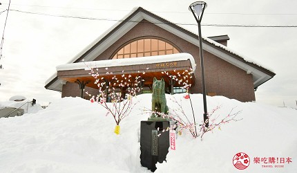 秋田犬之里館內秋田犬近距離互動畫面