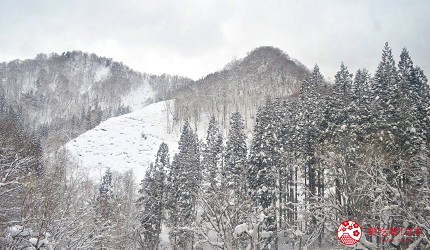 秋田內陸線列車行經雪原的沿線風光