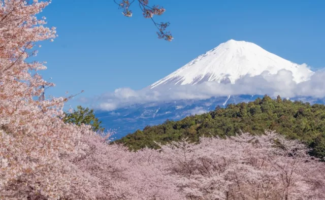 日本40天行程範例！玩遍日本札幌、東京、京阪神、四國、福岡，這篇必存