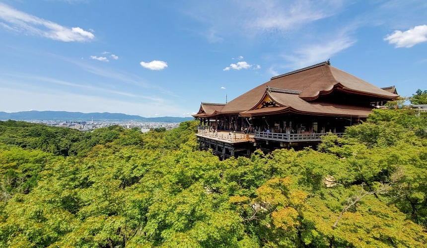 夏季被綠樹包圍的清水寺