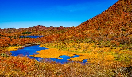 楓紅的赤城山