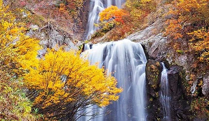 瀑布與紅葉