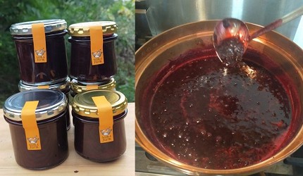 愛媛縣特產愛媛伴手禮愛媛縣必買手信推介蜜柑汁蜜柑酒血橙梅酒藍莓果醬愛媛美食柑橘今治毛巾母恵夢一六毛巾捲蛋少爺糰子勞研饅頭介紹愛媛縣藍莓果醬商品圖