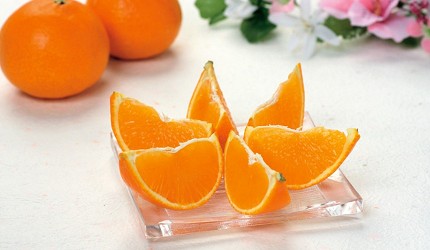 愛媛縣特產愛媛伴手禮愛媛縣必買手信推介蜜柑汁蜜柑酒血橙梅酒藍莓果醬愛媛美食柑橘今治毛巾母恵夢一六毛巾捲蛋少爺糰子勞研饅頭介紹太陽市紅麥當娜蜜柑甘平蜜柑商品圖
