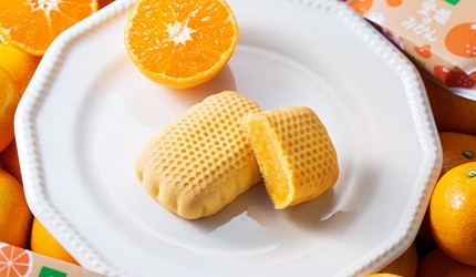 愛媛縣特產愛媛伴手禮愛媛縣必買手信推介蜜柑汁蜜柑酒血橙梅酒藍莓果醬愛媛美食柑橘今治毛巾母恵夢一六毛巾捲蛋少爺糰子勞研饅頭介紹母惠夢商品圖
