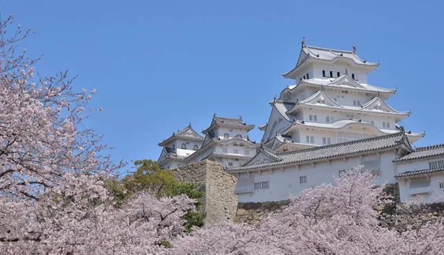 姬路城周邊景點＋美食推薦：好古園、姬路中央公園都必去！