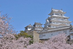姬路景點地圖：好古園、姬路中央公園都必去，必吃美食、體驗活動整理