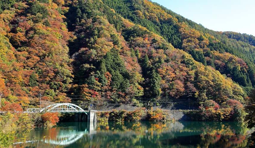 秋天紅葉時期的奧多摩湖畔