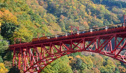 富山旅遊富山景點推薦富山自由行推介立山黑部大雪谷五箇山合掌村宇奈月溫泉螢烏賊富山縣高岡市立山黑部一日遊紅楚蟹黑拉麵富山縣魚津市富山縣特產富山美食整理文章立山黑部黑部峽谷圖片