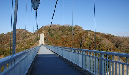 楓葉景色與龍神大吊橋