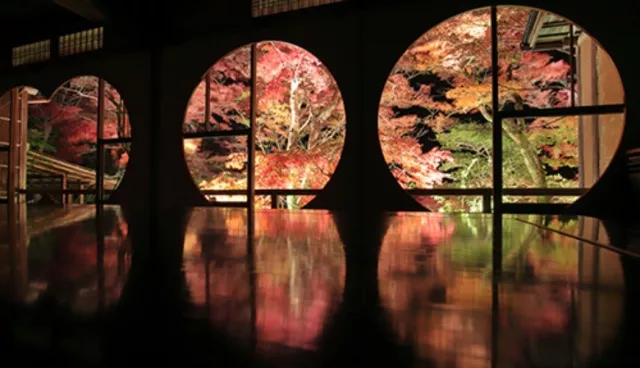 京都推薦9個新景點：任天堂丸福樓、嵐山祐齋亭、必吃紅豆奶油鯛魚燒