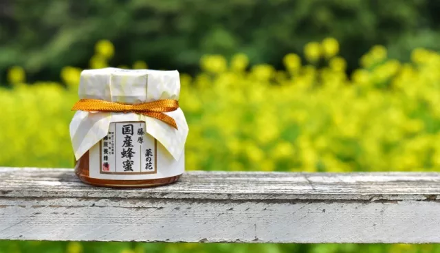 岩手縣必買伴手禮！「藤原養蜂場」6款人氣蜂蜜推薦，品嚐日本獨有的香甜滋味！