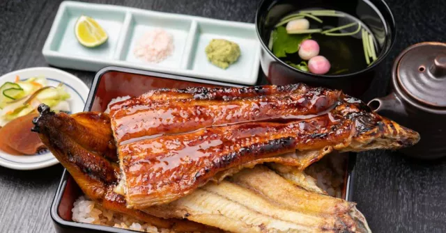 「土井活鰻」炭燒鰻魚飯，伏見稻荷必吃！京都高評價人氣名店