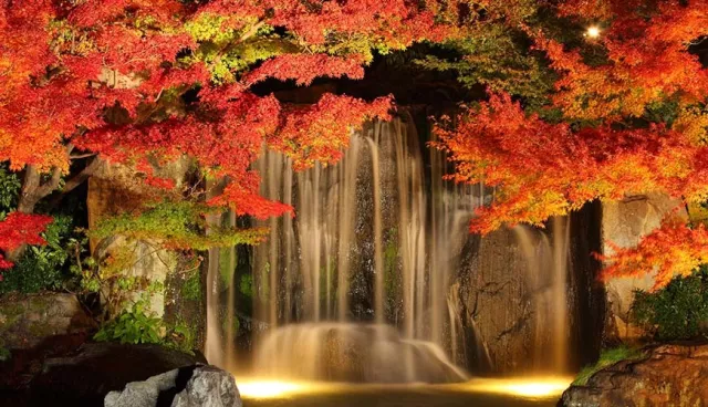 【秋季旅遊】姬路紅葉兩天一夜遊：書寫山圓教寺賞楓、姬路城點燈打卡 的縮圖