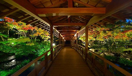 夜間點燈的庭院