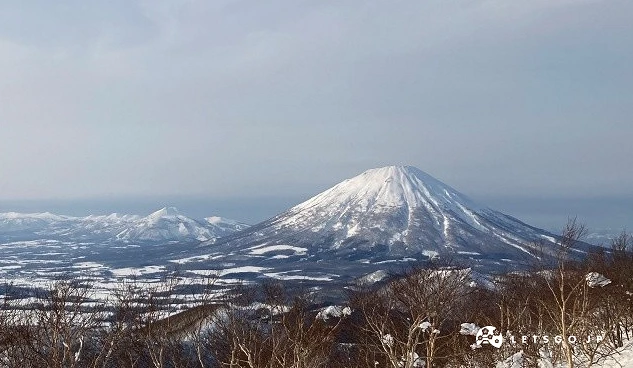 冬季的羊蹄山雪景,前景為覆雪山林,遠方可見洞爺湖周邊平原與連綿山巒,在晴朗天空下呈現遼闊視野