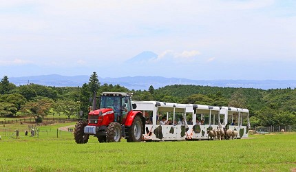母親牧場之旅DX導覽巴士，牧牛場與動物互動推薦