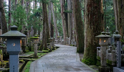 前往寶靈館路上景觀