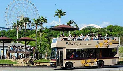 遊客搭乘遊園巴士暢遊adventure world景觀