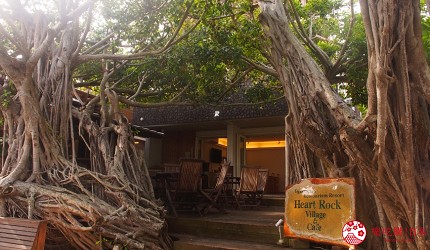 東京離島景點必去「小笠原群島」的榕樹下的咖啡館 Heart Rock