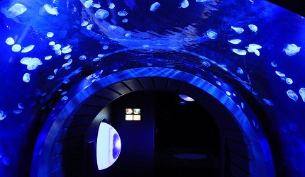 池袋陽光水族館的水母隧道