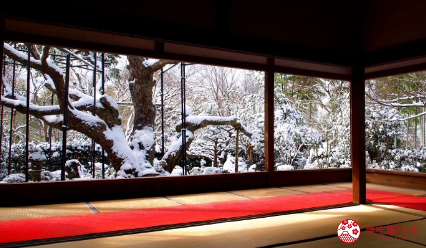 日本關西京都雪景景點推介推薦日本冬天景點冬季必去京都下雪點燈打卡金閣寺清水寺貴船神社寶泉院三千院實光院上賀茂神社東福寺嵐山妙滿寺雪之庭介紹文章雪中五葉松圖