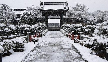 日本關西京都雪景景點推介推薦日本冬天景點冬季必去京都下雪點燈打卡金閣寺清水寺貴船神社寶泉院三千院實光院上賀茂神社東福寺嵐山妙滿寺雪之庭介紹文章妙滿寺雪之庭正面圖