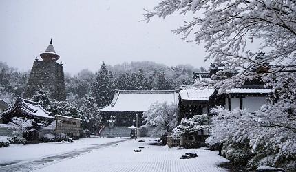日本關西京都雪景景點推介推薦日本冬天景點冬季必去京都下雪點燈打卡金閣寺清水寺貴船神社寶泉院三千院實光院上賀茂神社東福寺嵐山妙滿寺雪之庭介紹文章妙滿寺雪之庭圖