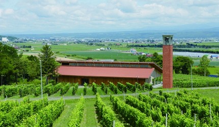 Campana della Vigna 六花亭的庭景