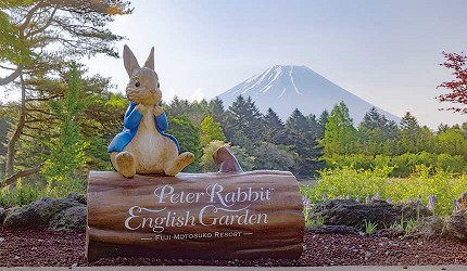 彼得兔英式花園入口木牌與彼得兔雕像,背景可見富士山與綠意庭園景觀