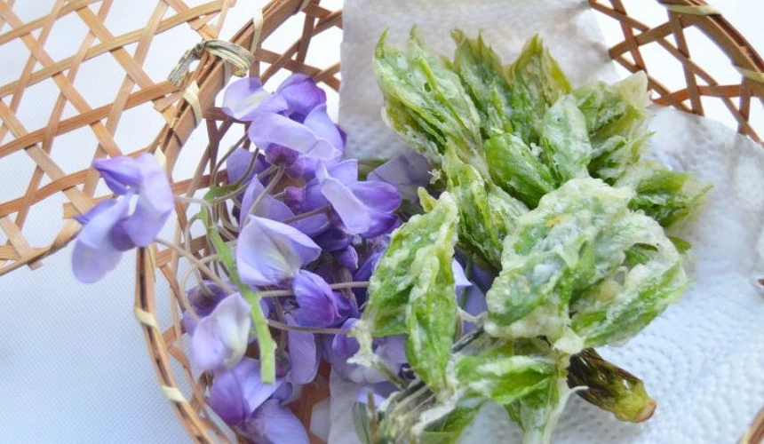 竹籃中擺放新鮮紫藤花與裹粉炸製的紫藤嫩葉天婦羅