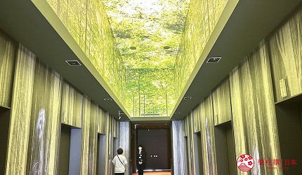 電梯間有令人置身森林的感覺